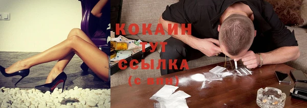 индика Алзамай