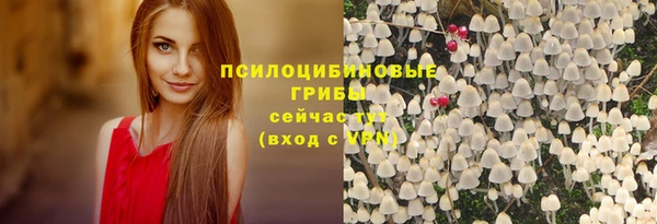 индика Алзамай