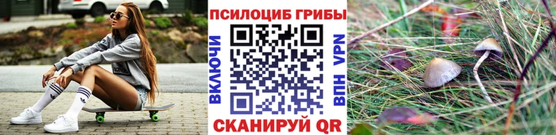 Псилоцибиновые грибы Magic Shrooms  Уссурийск 